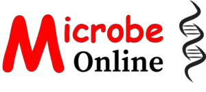 microbeonline的Logo
